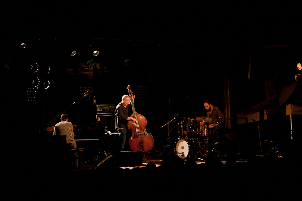 Avishai Cohen Trio © 2014. Léna T.