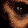 Image de Les Psychopathes ou le nouveau Satan