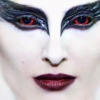 Image de Black Swan