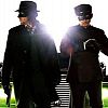 Image de THE GREEN HORNET ou la vie en vert