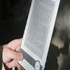 Image de Le livre numérique: chronique politique d'une année zéro