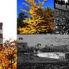 Image de Berlin Automne 2009