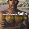 Image de La Salamandre - J.C Rufin