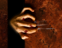 Image de 