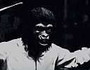 Image de 