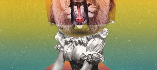 Image de Talking Monkeys - Les singes bavards de In The canopy signent un 1er album plus qu'ambitieux 